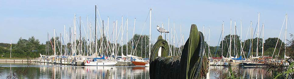 Yachthafen Wassersportgemeinschaft Arnis e.V. pic 4
